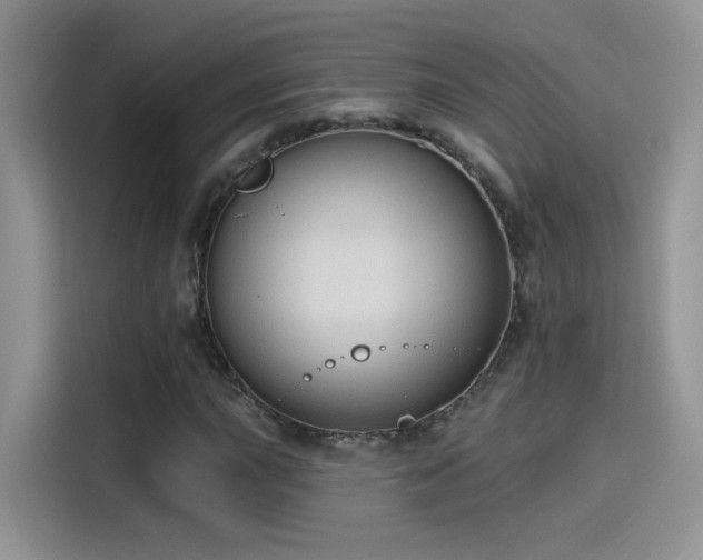 X0000115611015200911171144
