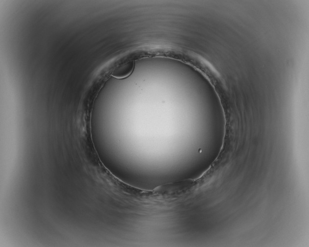 X0000115611016200911171144