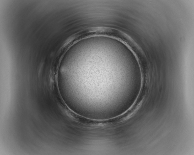 X0000115611017200911171144