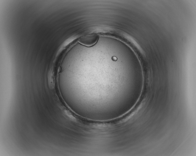 X0000115611018200911171144