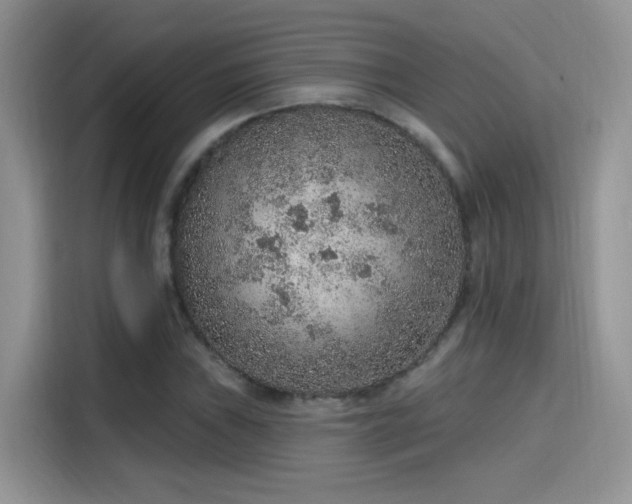 X0000115611019200911171144
