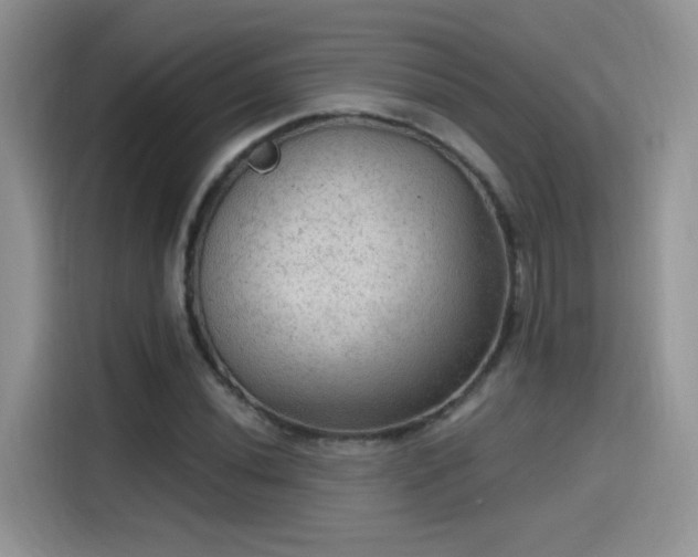 X0000115611020200911171144