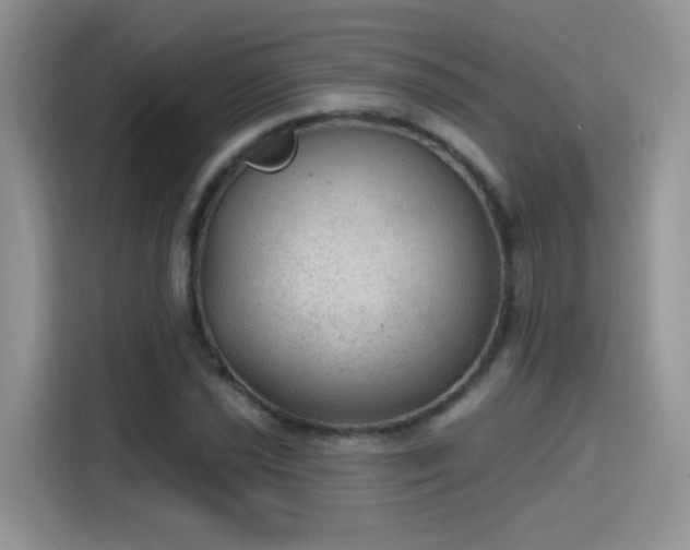 X0000115611021200911171144