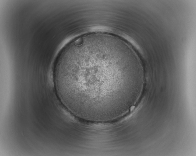 X0000115611022200911171144
