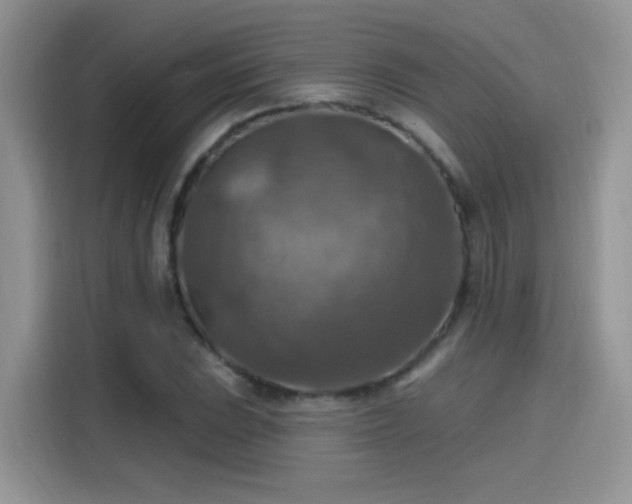 X0000115611023200911171144