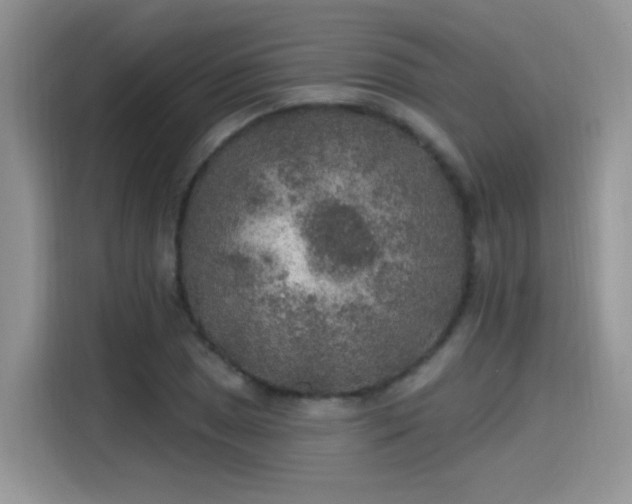 X0000115611025200911171144