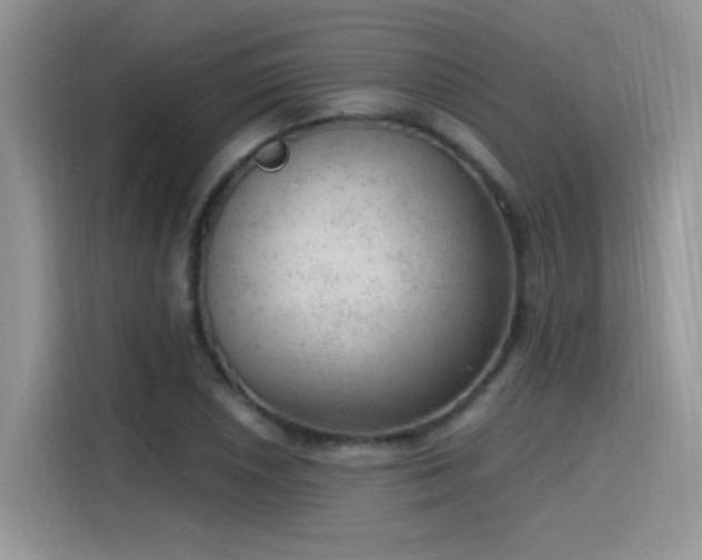 X0000115611026200911171144