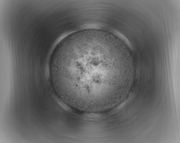 X0000115611027200911171144