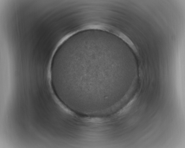 X0000115611028200911171144