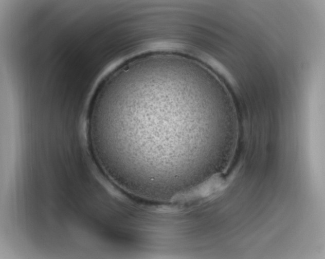 X0000115611029200911171144