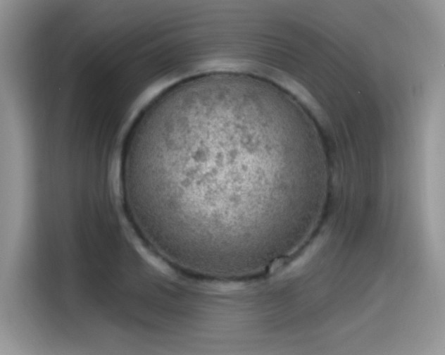 X0000115611030200911171144