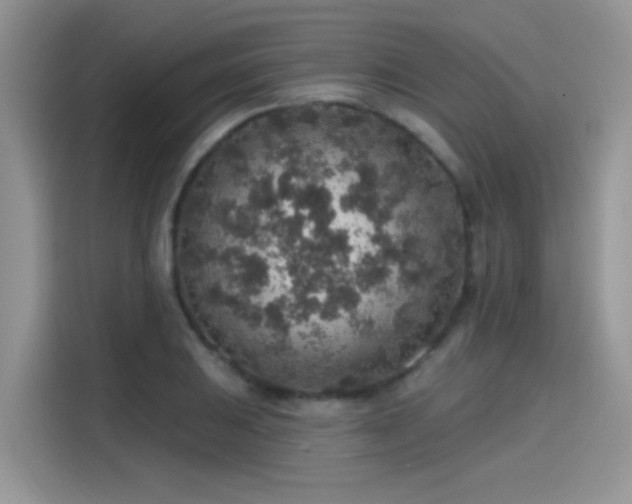 X0000115611031200911171144