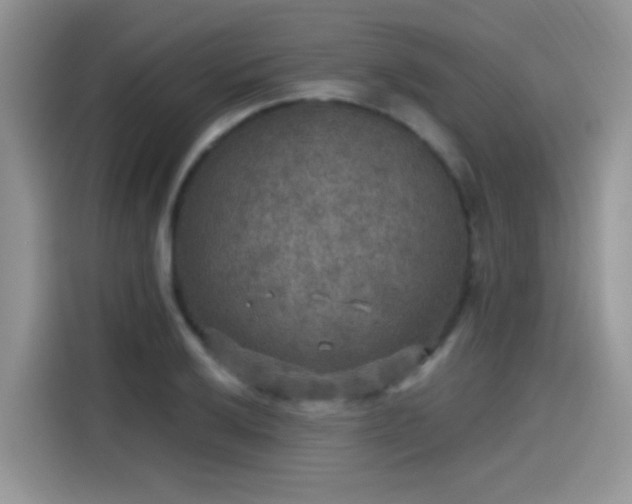 X0000115611032200911171144