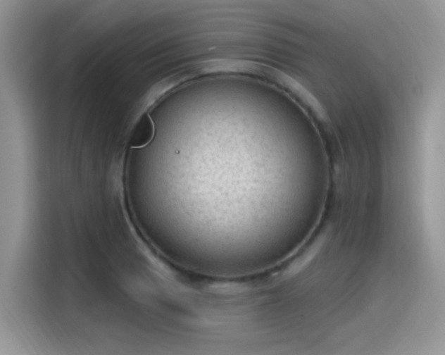 X0000115611033200911171144
