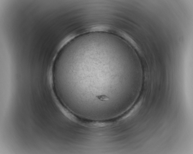 X0000115611034200911171144