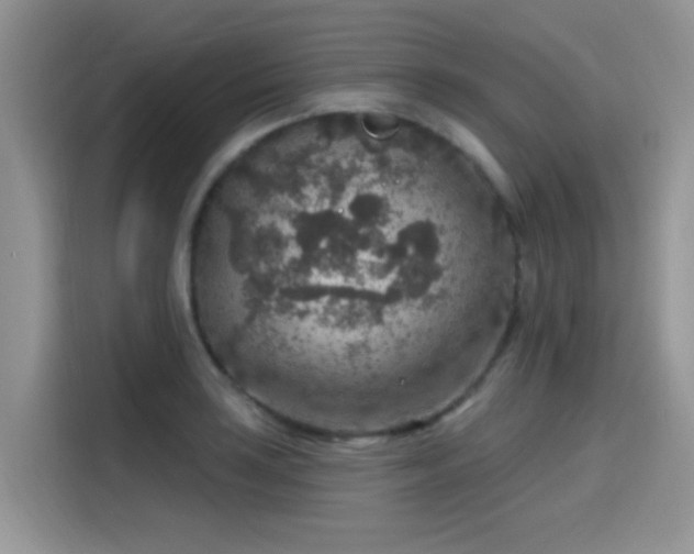 X0000115611035200911171144