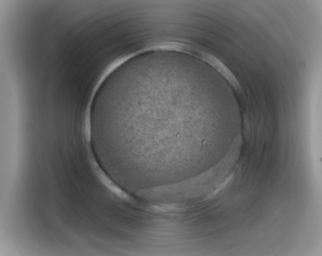 X0000115611036200911171144