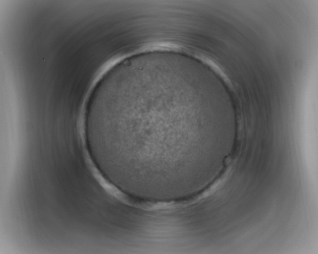 X0000115611038200911171144
