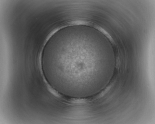 X0000115611039200911171144