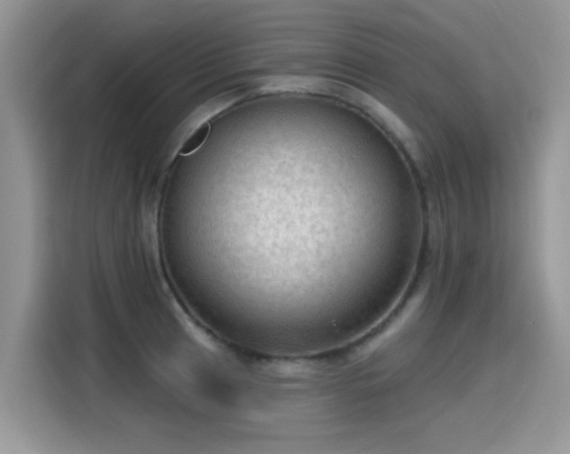 X0000115611041200911171144
