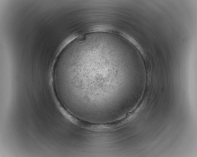 X0000115611042200911171144