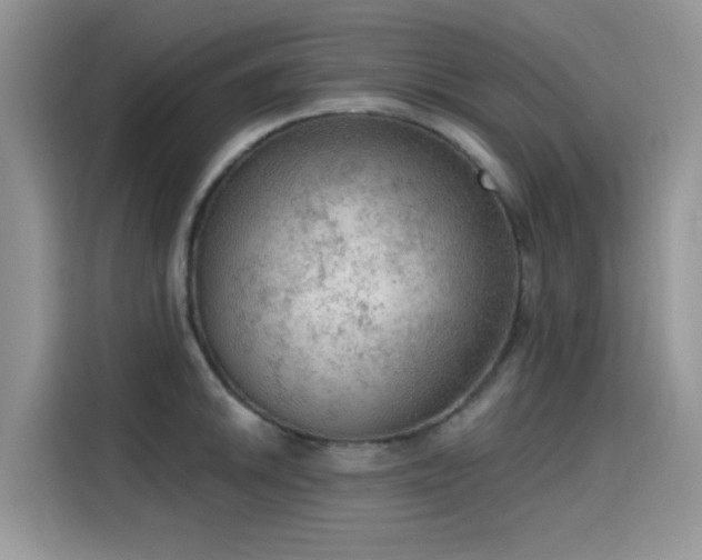X0000115611046200911171144