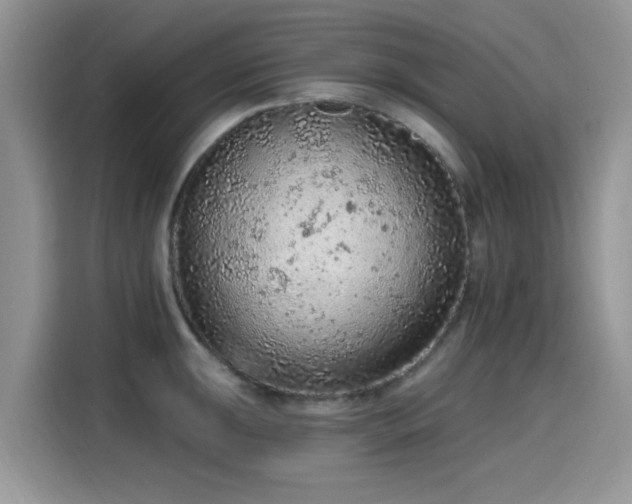 X0000115611047200911171144