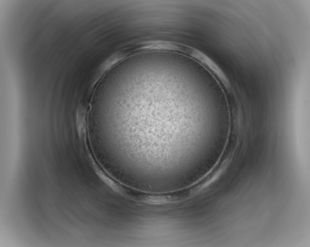 X0000115611049200911171144