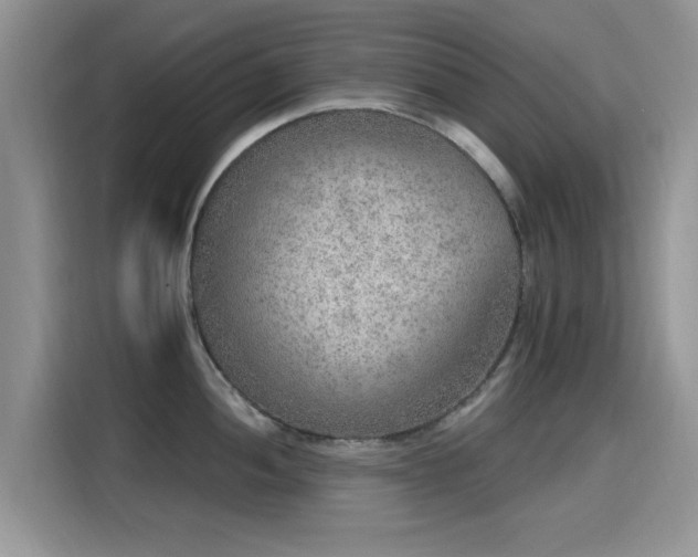 X0000115611052200911171144