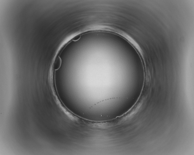 X0000115611053200911171144