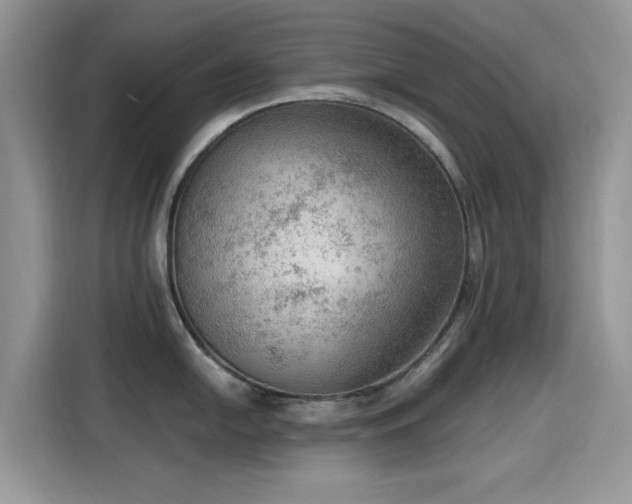 X0000115611054200911171144