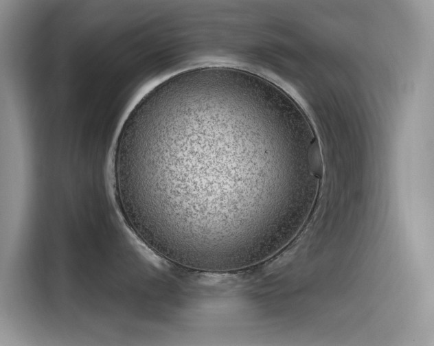 X0000115611056200911171144