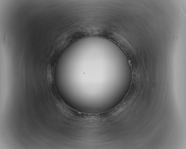 X0000115611058200911171144
