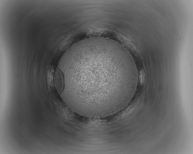 X0000115611059200911171144