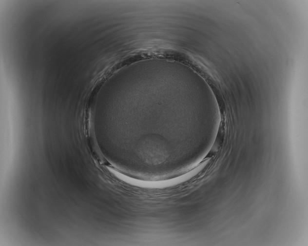 X0000115611060200911171144