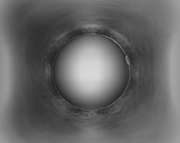 X0000115611061200911171144