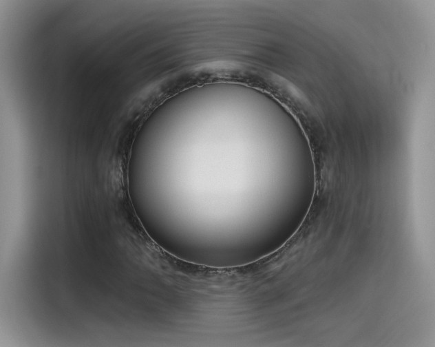 X0000115611062200911171144