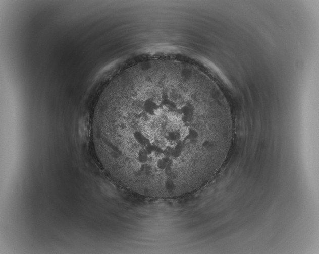 X0000115611063200911171144