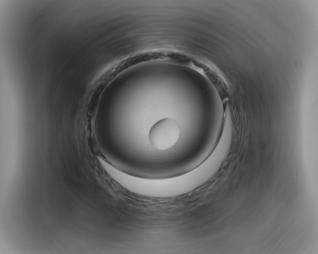 X0000115611064200911171144