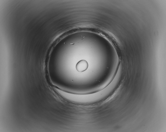 X0000115611065200911171144