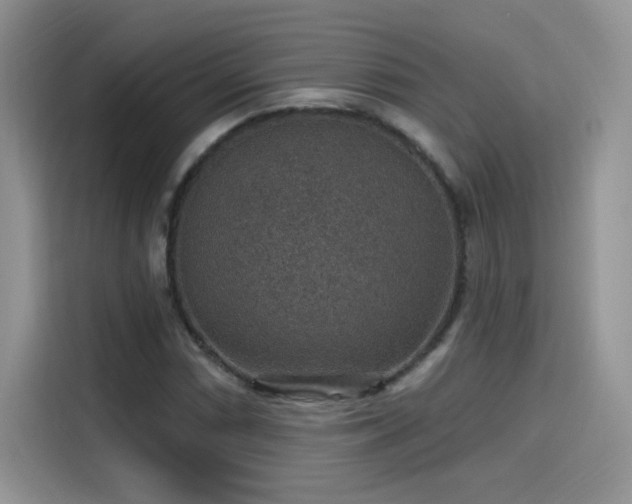 X0000115611066200911171144