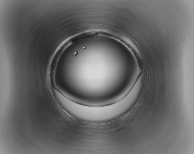 X0000115611068200911171144