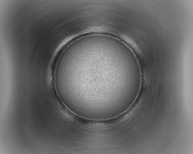 X0000115611070200911171143