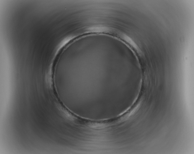 X0000115611071200911171143