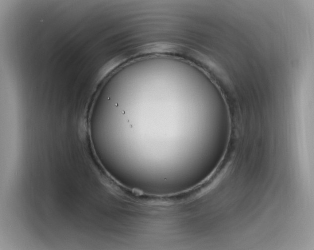 X0000115611073200911171143
