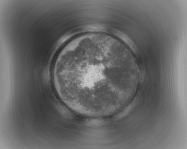 X0000115611074200911171143