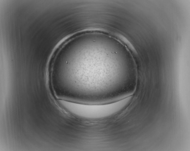 X0000115611076200911171143