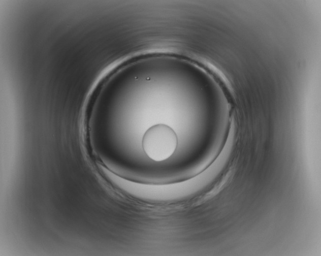 X0000115611077200911171143