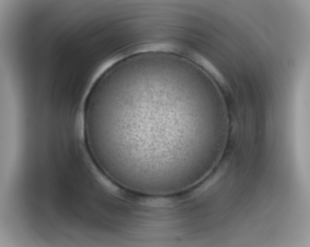 X0000115611079200911171143