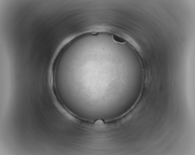 X0000115611080200911171143